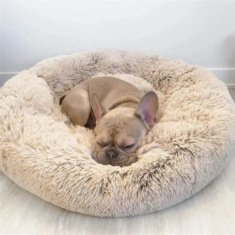 Le Nuage Doggie